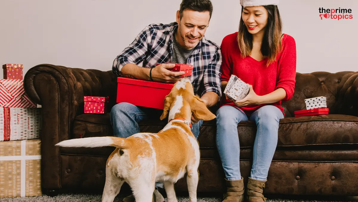 gifts for pets 